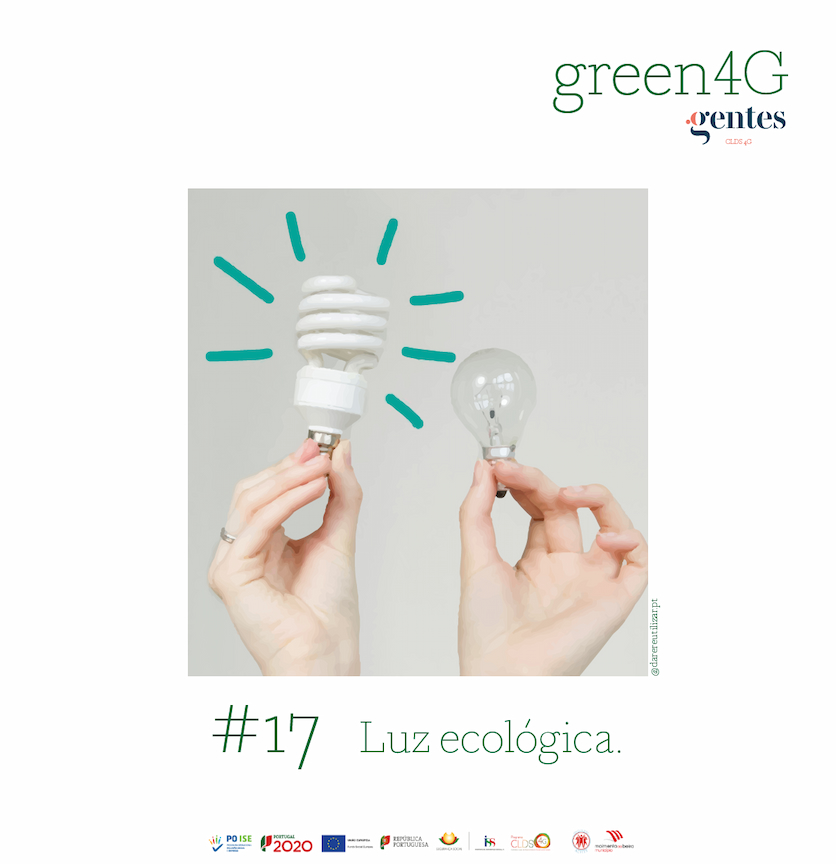 #17 Luz ecológica.