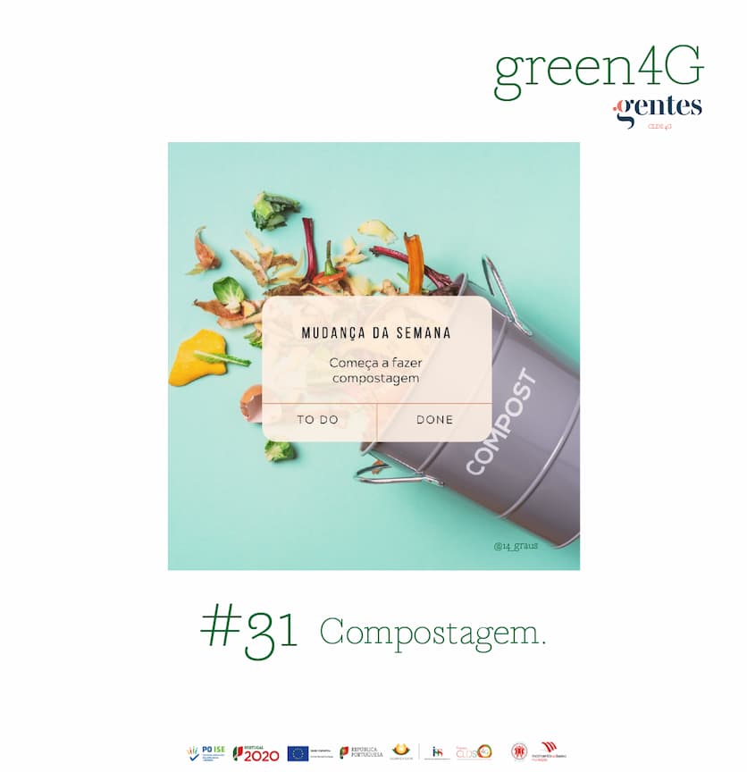 Read more about the article #31 Compostagem.