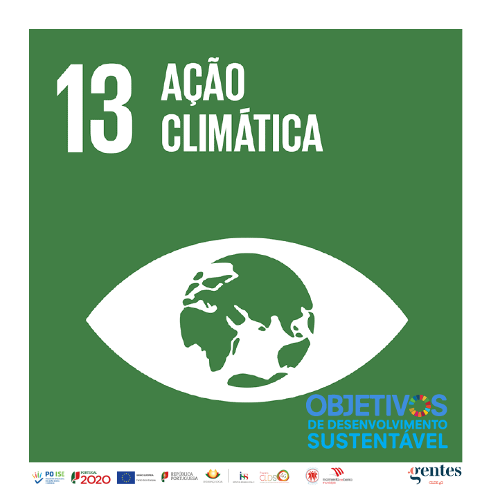 Read more about the article 13 – ADOTAR MEDIDAS URGENTES PARA COMBATER AS ALTERAÇÕES CLIMÁTICAS E OS SEUS IMPACTOS.