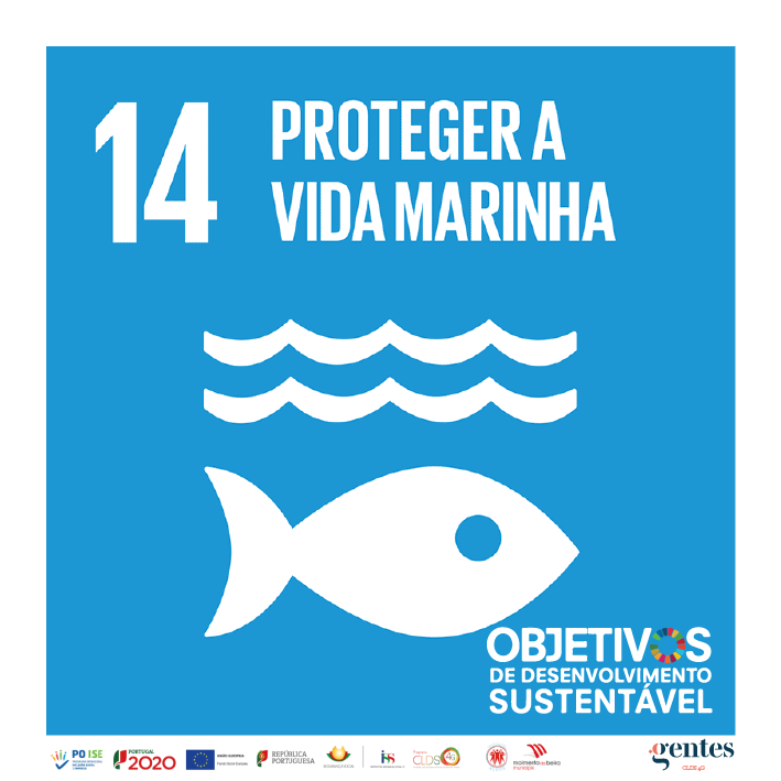 Read more about the article 14 – CONSERVAR E USAR DE FORMA SUSTENTÁVEL OS OCEANOS, MARES E OS RECURSOS MARINHOS PARA O DESENVOLVIMENTO SUSTENTÁVEL.